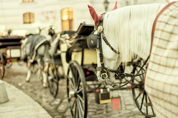istock Traditional Fiaker in Vienna 529481239