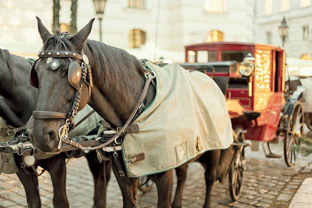 istock Traditional Fiaker in Vienna 529481257