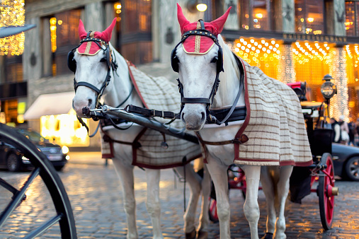 Traditional fiaker on a street in Vienna in the Christmas Season.