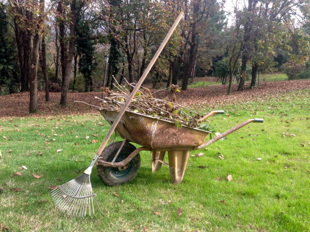 istock wheelbarrow full of dried leaves 529482589