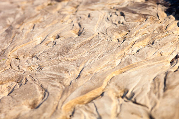istock Sand surface with the relief formed by water currents 529494035