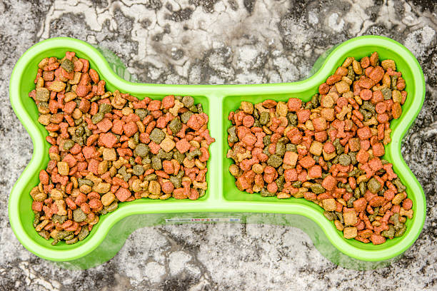 istock dog food 529494161