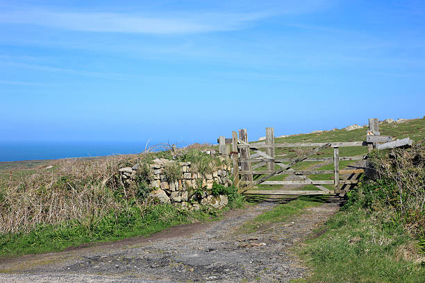 istock Old wooden farm gate in England 529494525