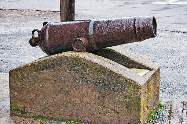 istock Gold Country Cannon 529496933