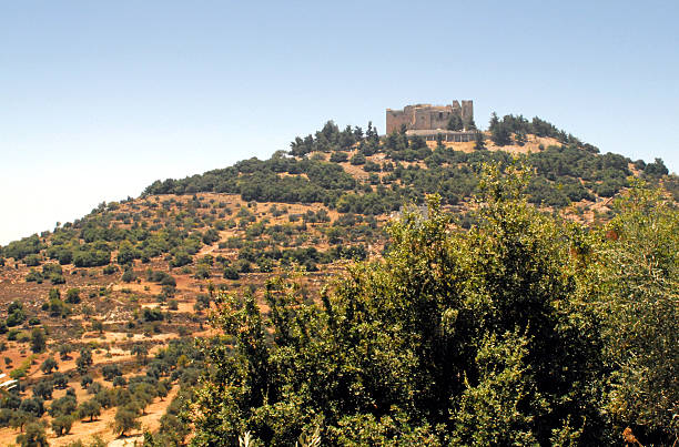 ajlun château et les bosquets d'oliviers, la jordanie - ajlun photos et images de collection