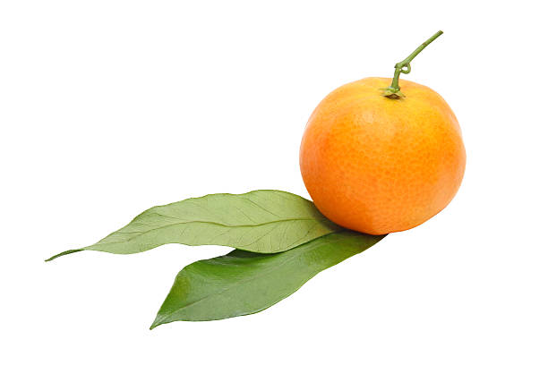 pobudzającymi mandarynka z zieloną leafes.isolated. - leafes fruit orange leaf zdjęcia i obrazy z banku zdjęć