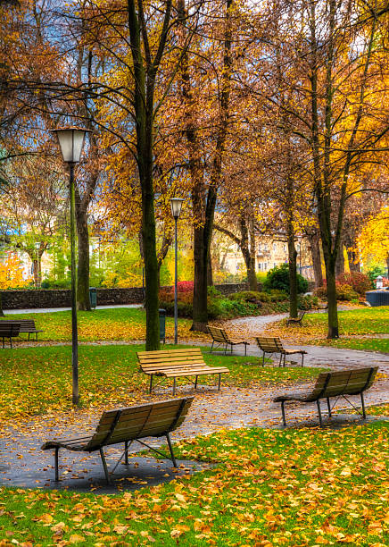 istock Autumn in the park with benches 529500499