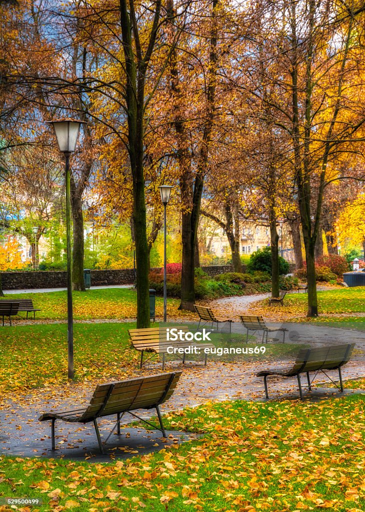 Autumn in the park with benches Autumn image with empty benches in a park and red and yellow leaves Autumn Stock Photo