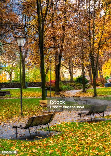 Autumn In The Park With Benches Stock Photo - Download Image Now - Autumn, Backgrounds, Beauty