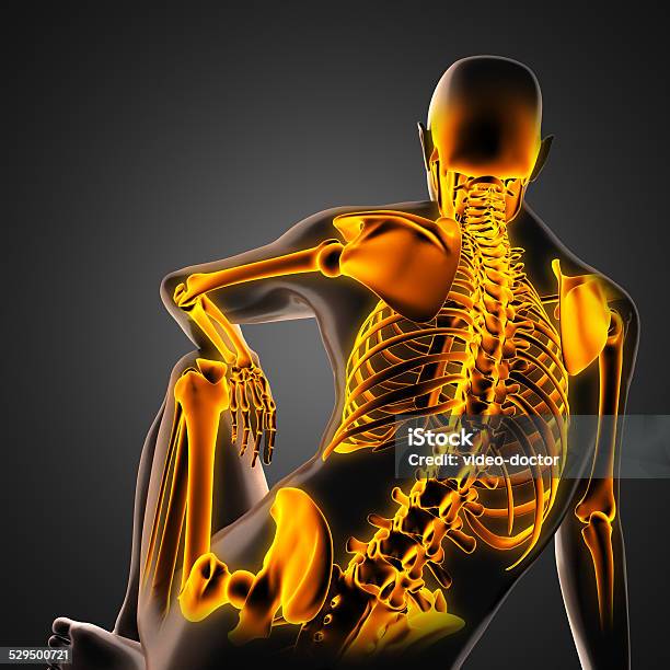 Human Radiography Scan With Bones Stock Photo - Download Image Now - Adult, Anatomy, Arthritis