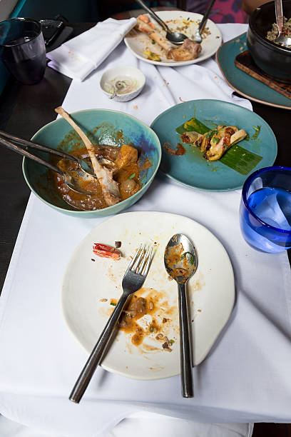 istock finishing food 529518543