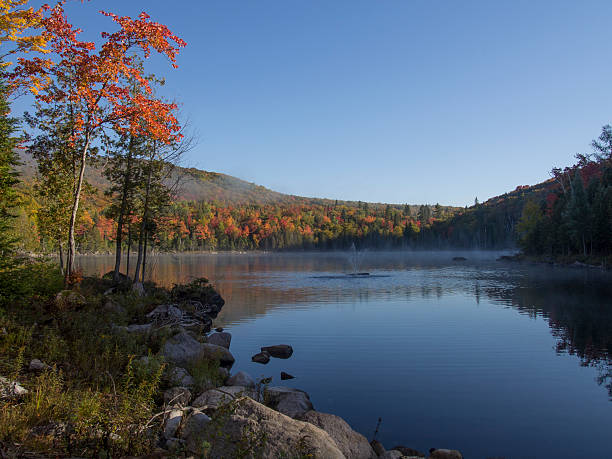 istock Lake and woods in the Fall 529519139