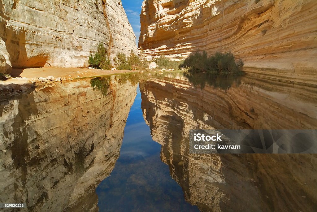 Small lake Picturesque canyon Ein-Avdat in desert Negev in Israel Adventure Stock Photo