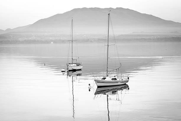 istock Lake Maggiore winter panorama. BW image 529521219