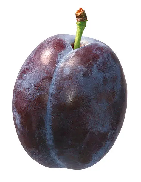 single whole purple prune