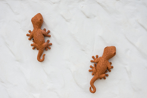Gecko Pottery in White Wall