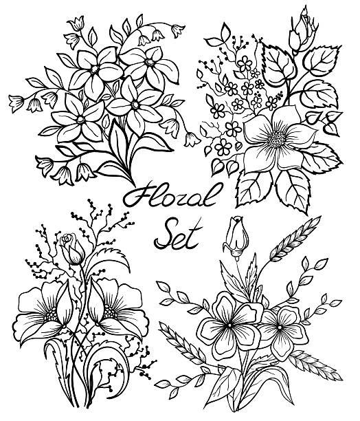 ilustrações de stock, clip art, desenhos animados e ícones de preto e branco de flores definido. colecção floral com folhas e flores - butterfly single flower vector illustration and painting