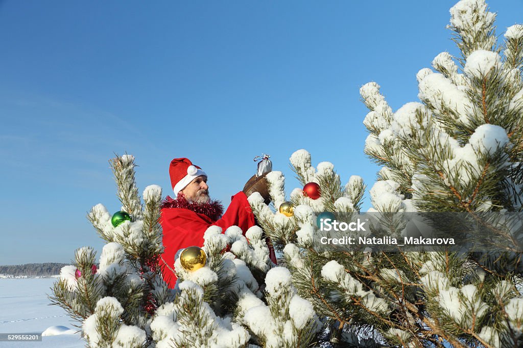 The man in Santa Claus's suit The man in Santa Claus's suit the bag holding in hand with a gift against the blue sky and a snow-covered fir-tree with decoration Active Lifestyle Stock Photo