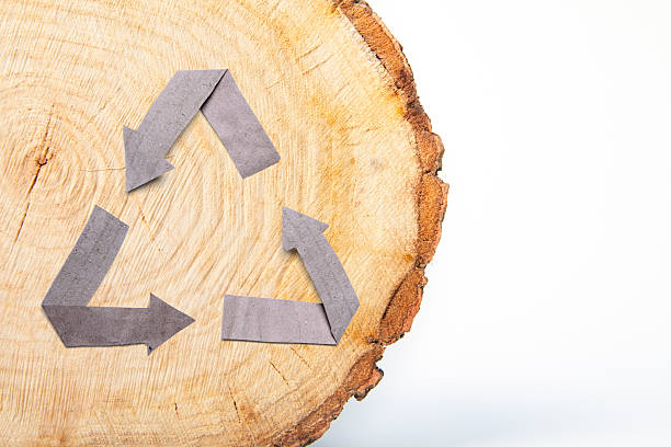 istock Close-up wooden cut and recycle symbol 529556615