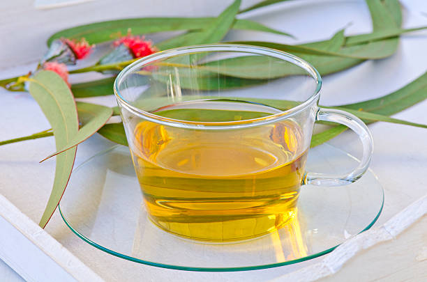 Eucalyptus herbal tea. stock photo