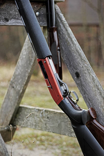 istock Skeet shooting with a modern shotgun 529556879