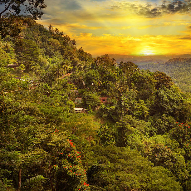 istock mountain landscape and sunrise 529557029