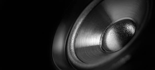 istock Bass Speaker membrane isolated on black 529557031