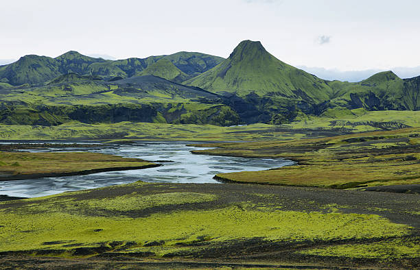 istock Volcanic landscape in Lakagigar 529558085