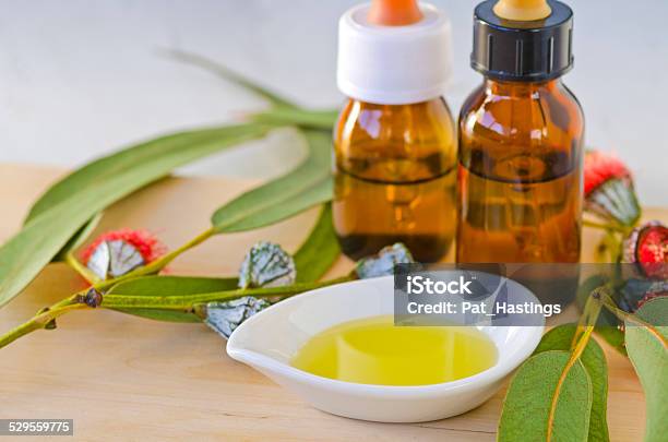 Eucalyptus Essential Oil Stock Photo - Download Image Now - Alternative Medicine, Aromatherapy Oil, Close-up