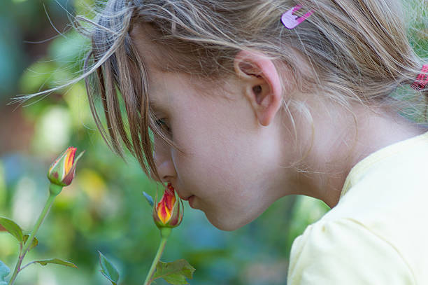 Picture of a little girl smelling a rose bud in the Rose Garden at Washington Park, Portland, Oregon