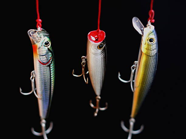 istock Three Fishing Lures from Above 529573747
