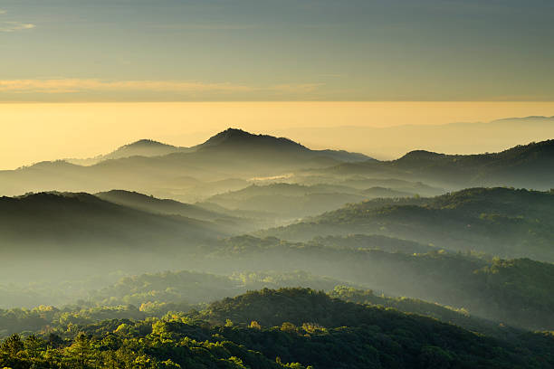 istock Mountain views timber and the mist. 529573939