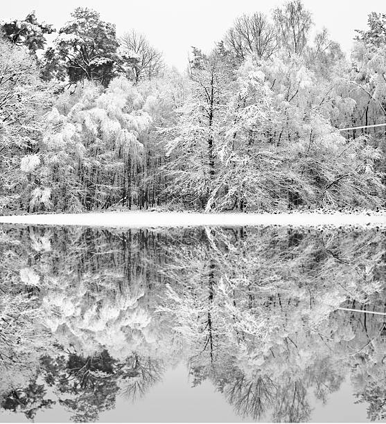 istock Beautiful snow and frost covered trees Winter landscape reflecte 529574713