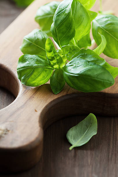 istock Fresh raw green basil on the wooden table 529575353