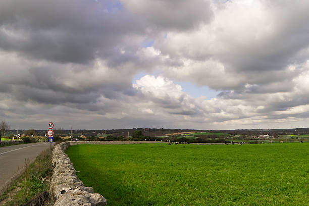 landschaft. - cirrostratus nobody field autumn stock-fotos und bilder