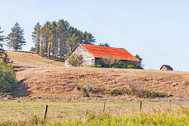 istock Barn in Northern California 529577059
