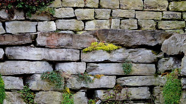 istock garden wall of stones covered with plants 529577537
