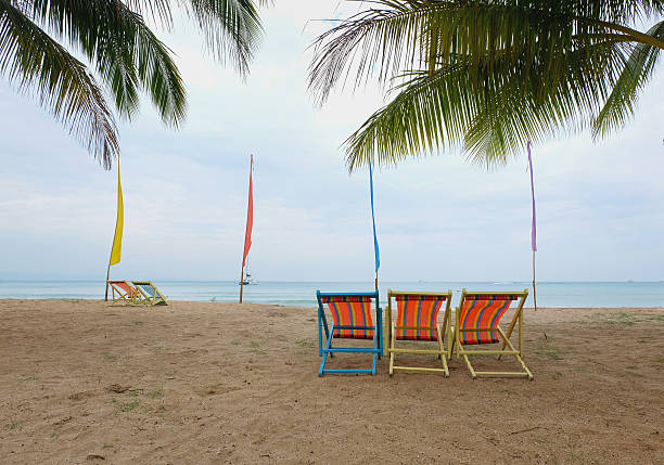 chaise longue sous un palmier sur une plage tropicale - beach tropical climate palm tree deck chair photos et images de collection