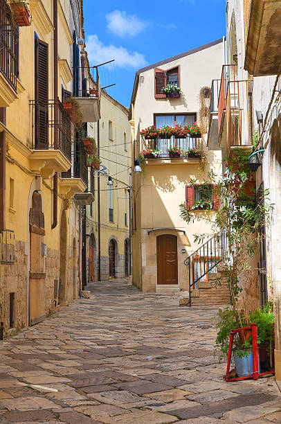 istock Alleyway. Altamura. Puglia. Italy. 529578869