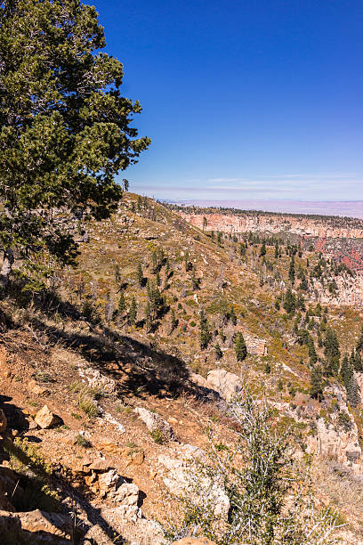 grand canyon national park. versante nord del grand canyon. point da point imperial - north american tribal culture grand canyon indian culture navajo foto e immagini stock