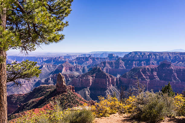 grand canyon national park. versante nord del grand canyon. point da point imperial - north american tribal culture grand canyon indian culture navajo foto e immagini stock