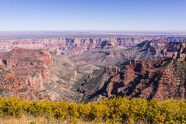 Grand Canyon National Park. Overlook from Roosevelt Point (North Rim)