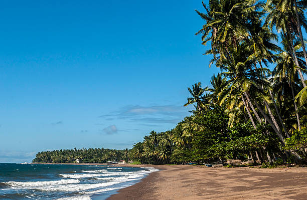 istock Dumaguete Beach Negros Island Philippines 529587627
