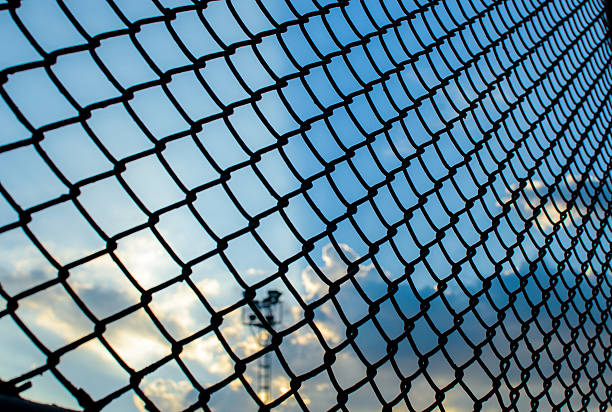istock Grid leak foreground. Protection of animals used for leak 529589025