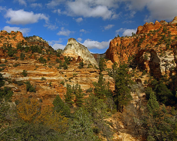 istock Scenic View Along the Zion-Mount Carmel Highway 529589295