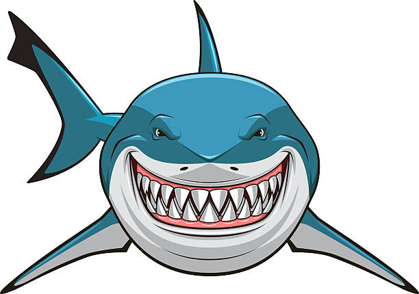 White shark Vector illustration, toothy white shark great white shark stock illustrations