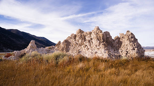 formação de lago mono shores natureza paisagem - mono county imagens e fotografias de stock