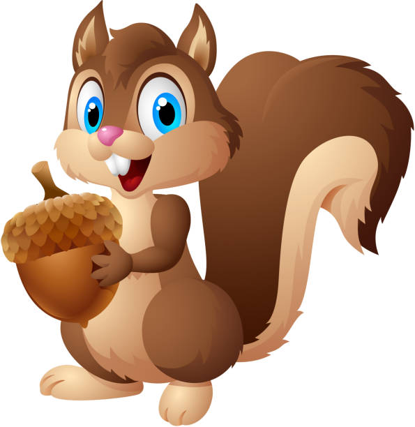 cartoon-eichhörnchen holding acorn - eichhörnchen stock-grafiken, -clipart, -cartoons und -symbole