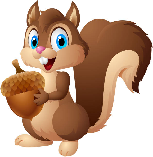 Cartoon squirrel holding acorn Vector illustration of Cartoon squirrel holding acorn cute chipmunk cartoon stock illustrations