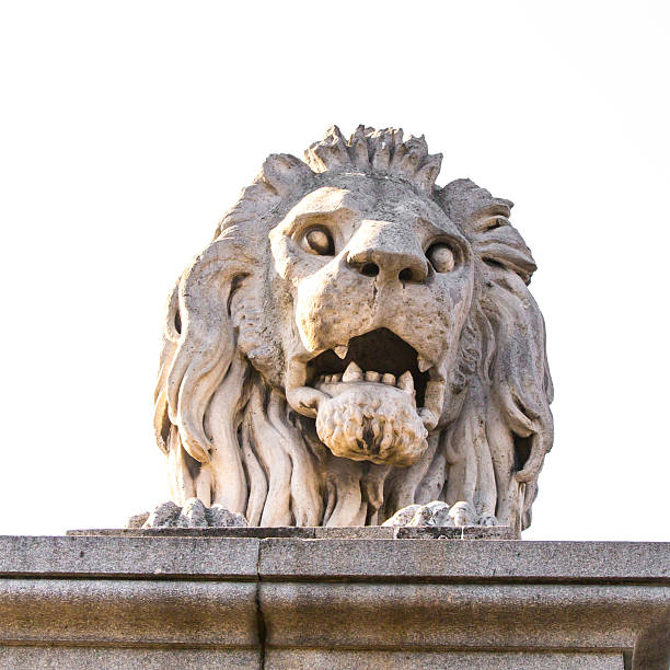 budapeste, estátua de leão na ponte das correntes - chain bridge budapest bridge lion imagens e fotografias de stock